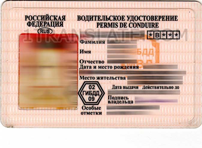 Driver License sample